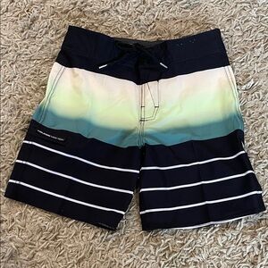 Volcom Black and Teal Striped Swim Shorts